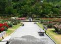 Wellington Botanic Garden - MyDriveHoliday